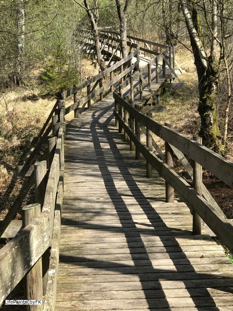 a_wab_through_the_bog