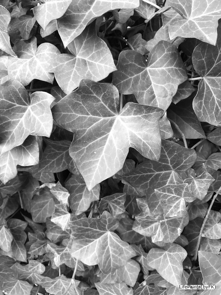 leaf_structures