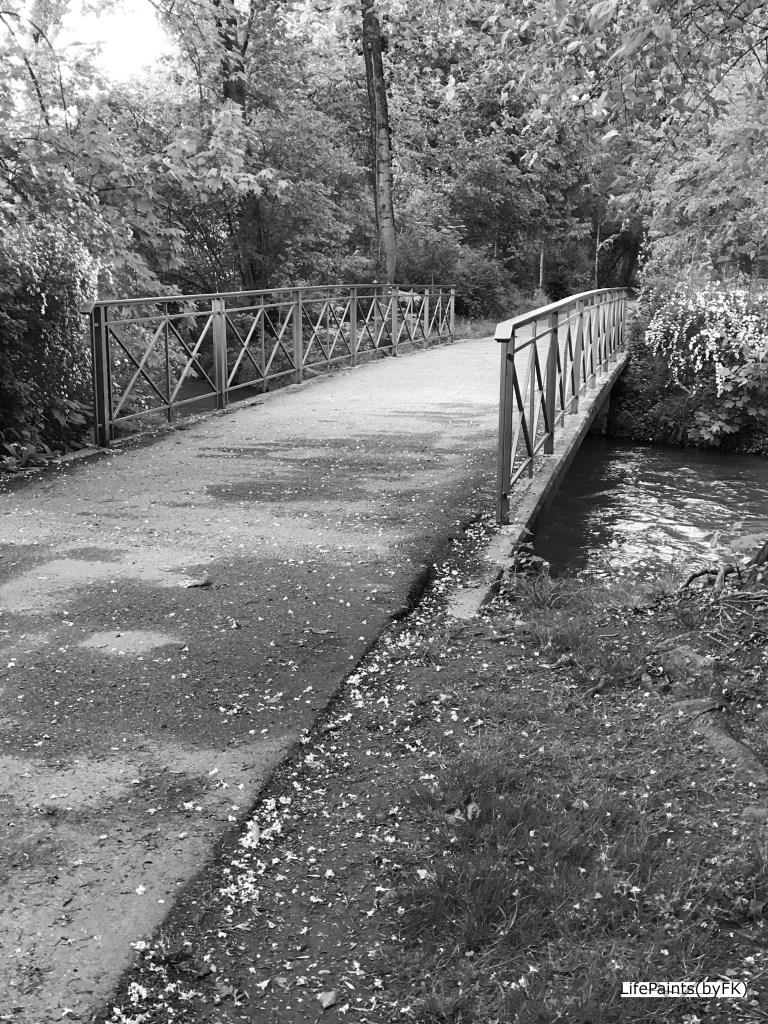 the_little_bridge