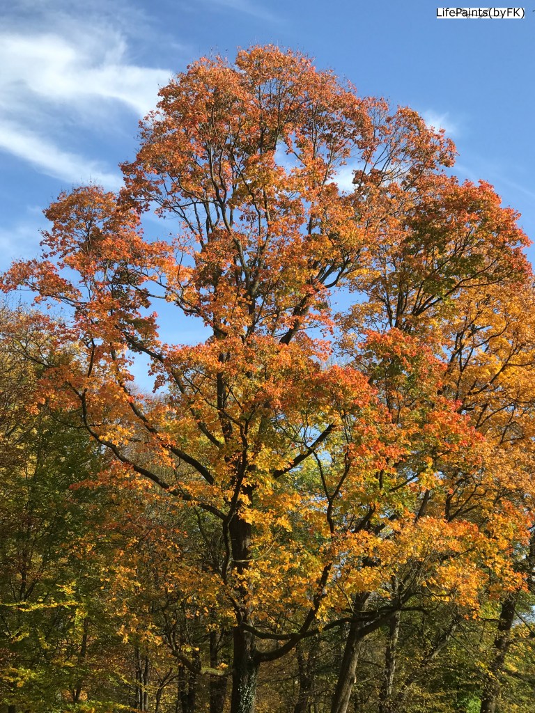 indian_summer_in_munich