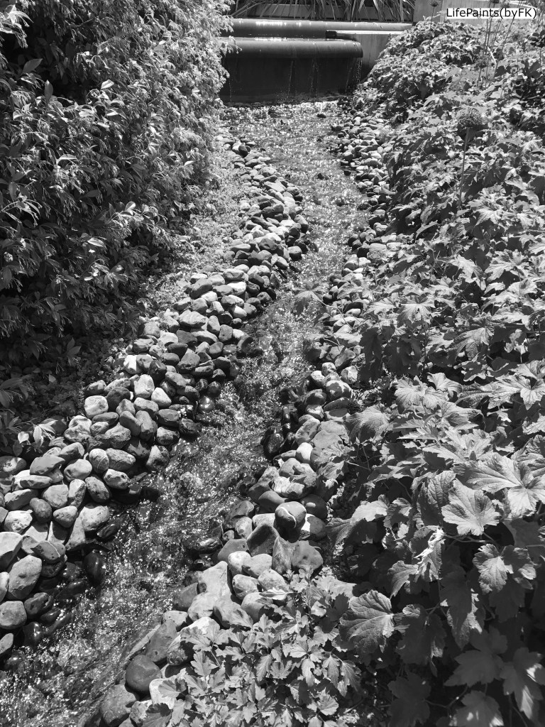 nice_small_creek
