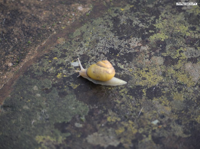 Developed using darktable 3.0.0