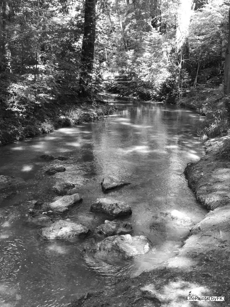 The_Englischer_Garten